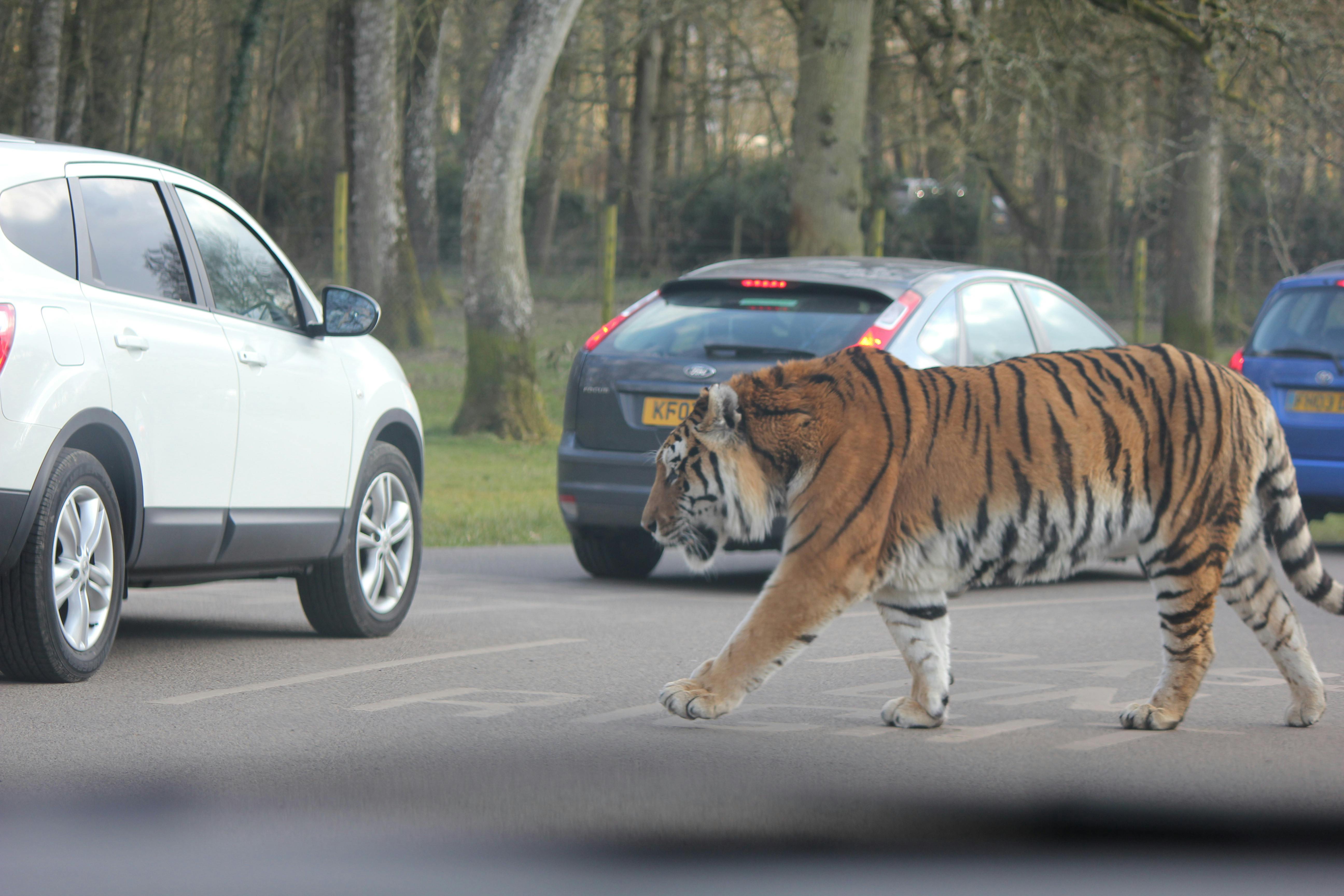 Rakesh Patel Fotografía