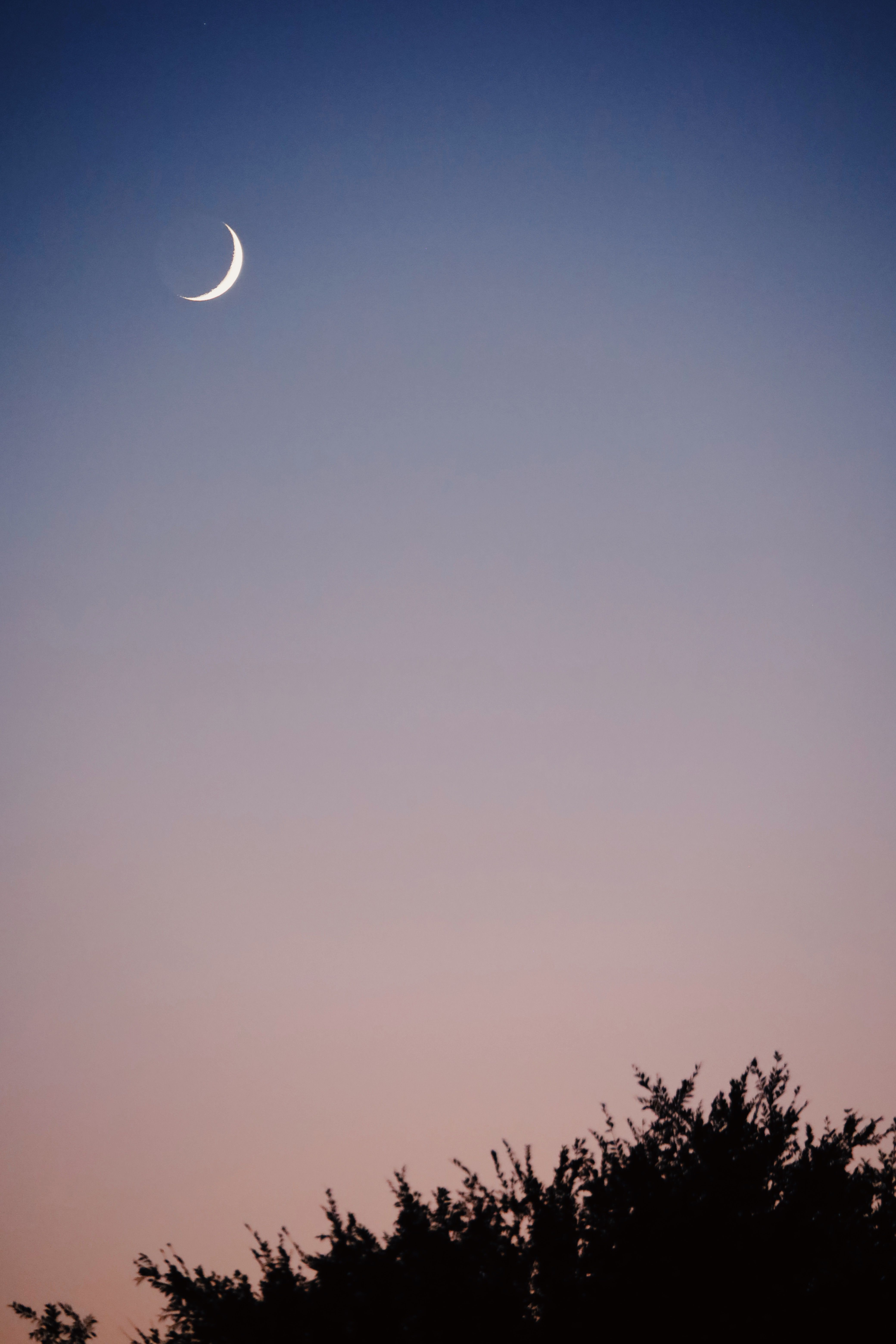 A tranquil crescent moon amidst a serene pastel evening sky with silhouetted trees below.