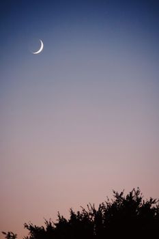 A tranquil crescent moon amidst a serene pastel evening sky with silhouetted trees below.