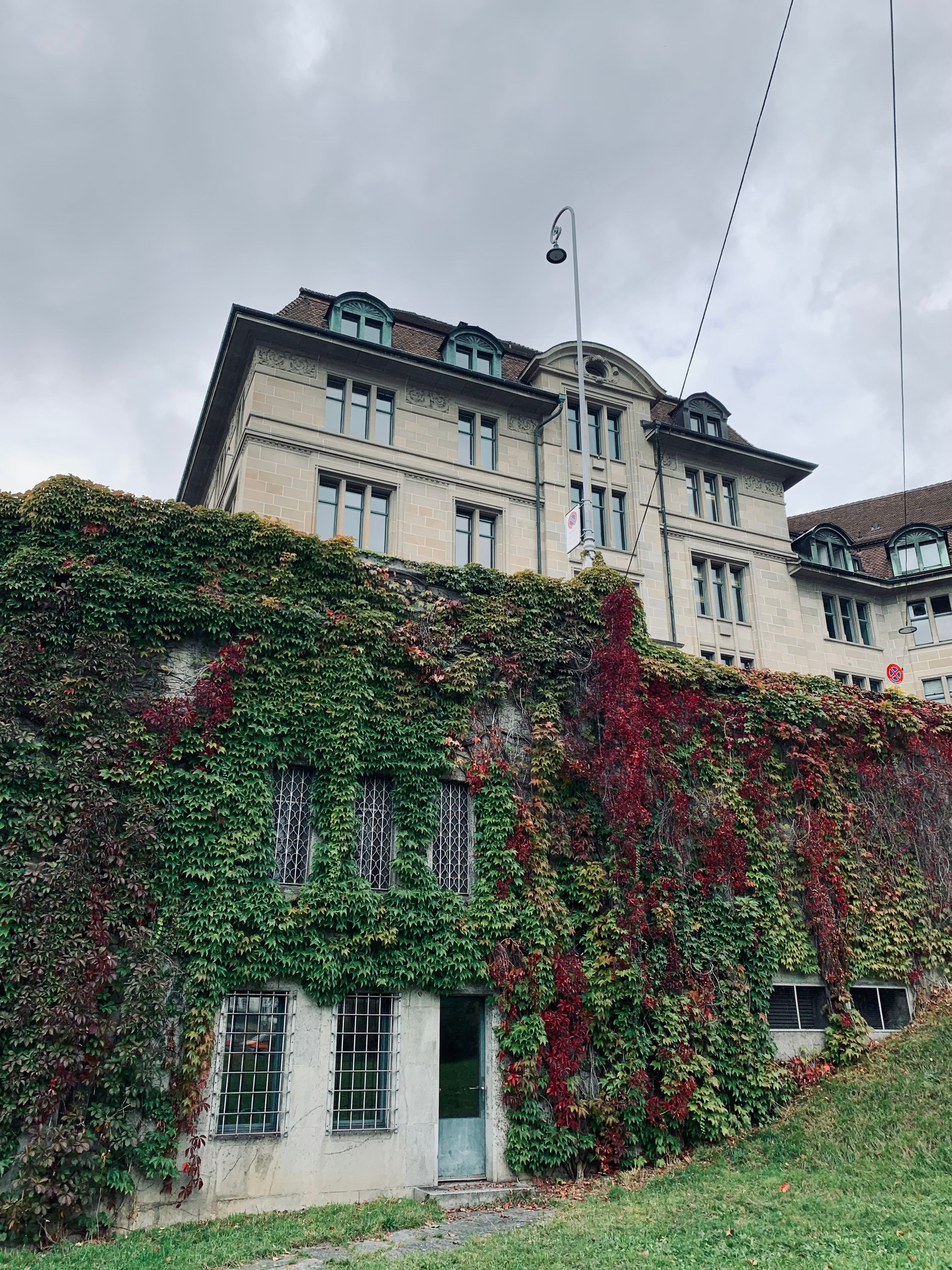 Historic Zurich building with ivy-covered facade and overcast sky.