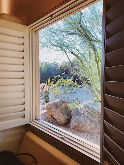 Free stock photo of desert plants, desert scape, hotel room