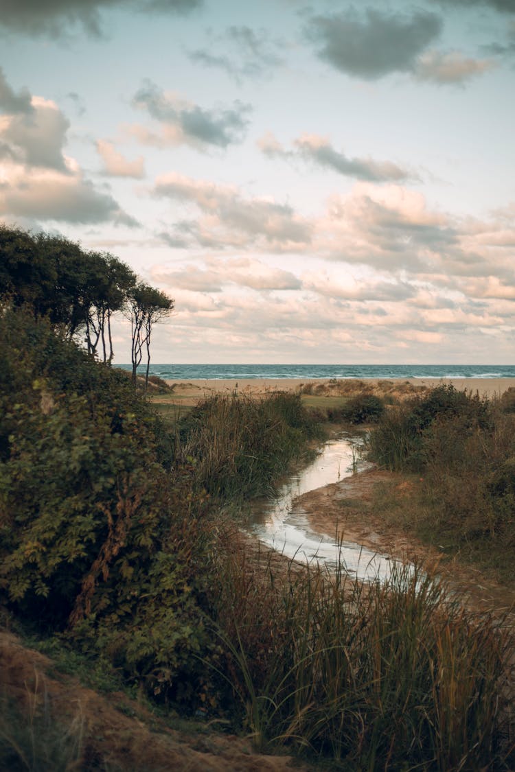 Small Stream Running Through Field