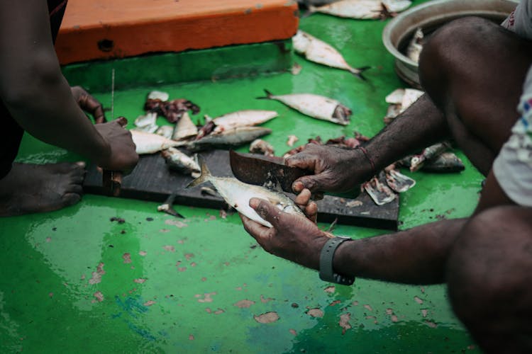 People Scaling Fish 