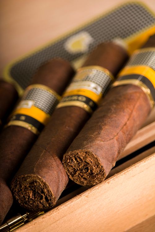 Free A detailed close-up of premium cigars displayed in a cedar cigar box, highlighting texture. Stock Photo