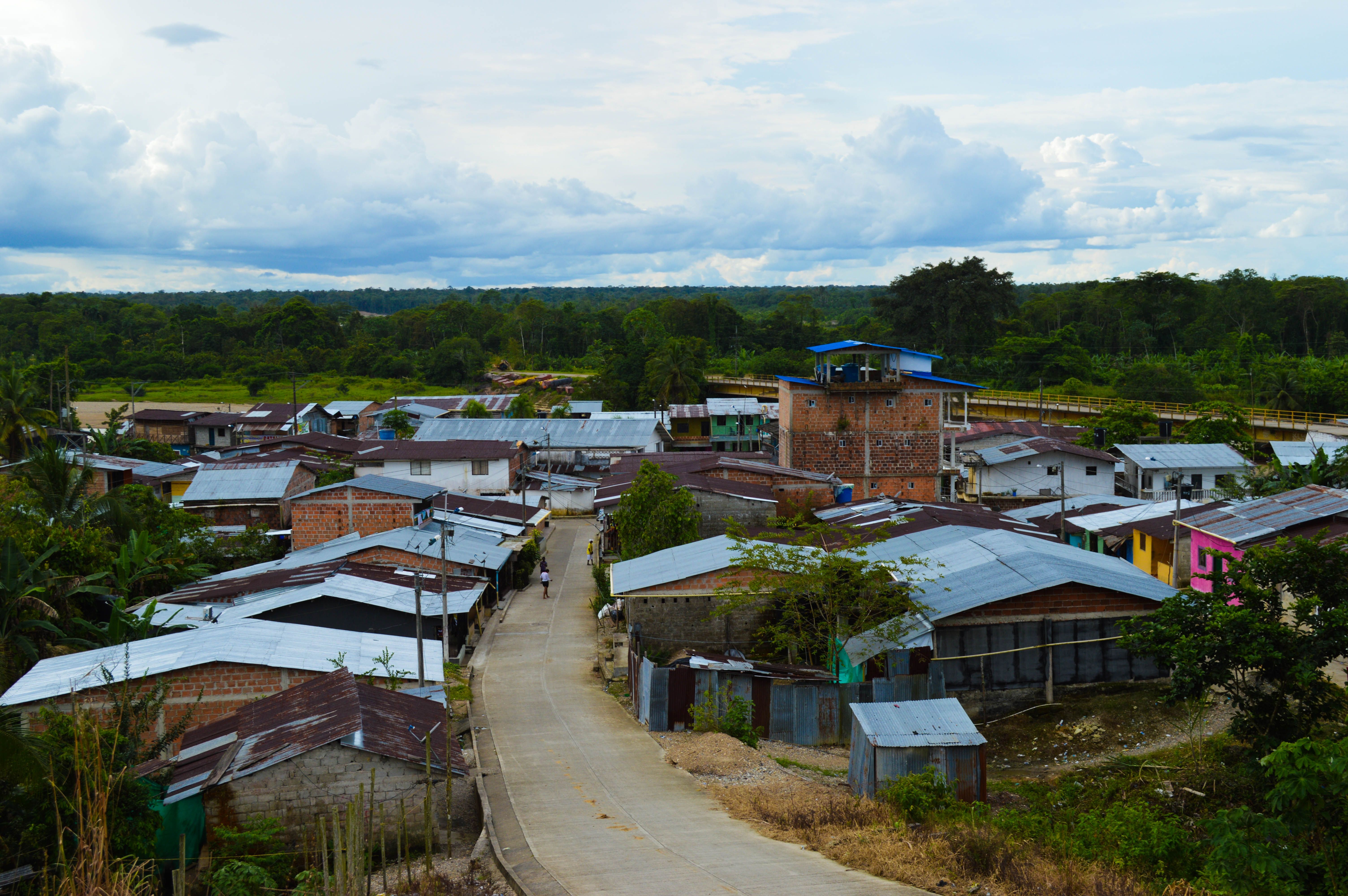 Charming aerial view of Puerto Nuevo with lush green landscapes and rustic architecture. - Puerto Maldonado