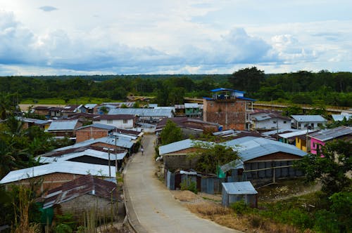 Foto profissional grátis de aerofotografia, árvores verdes, bairro