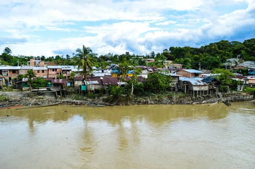 Foto profissional grátis de aerofotografia, área residencial, árvores verdes