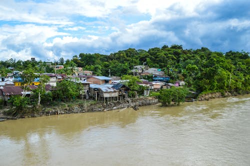 Houses Beside the River Surrounded with Green Trees