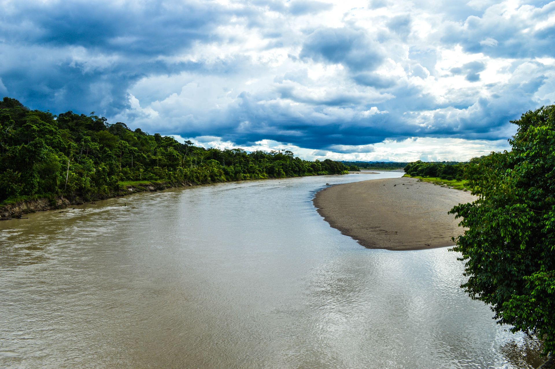Orilla del río en la selva amazónica en una mañana nublada