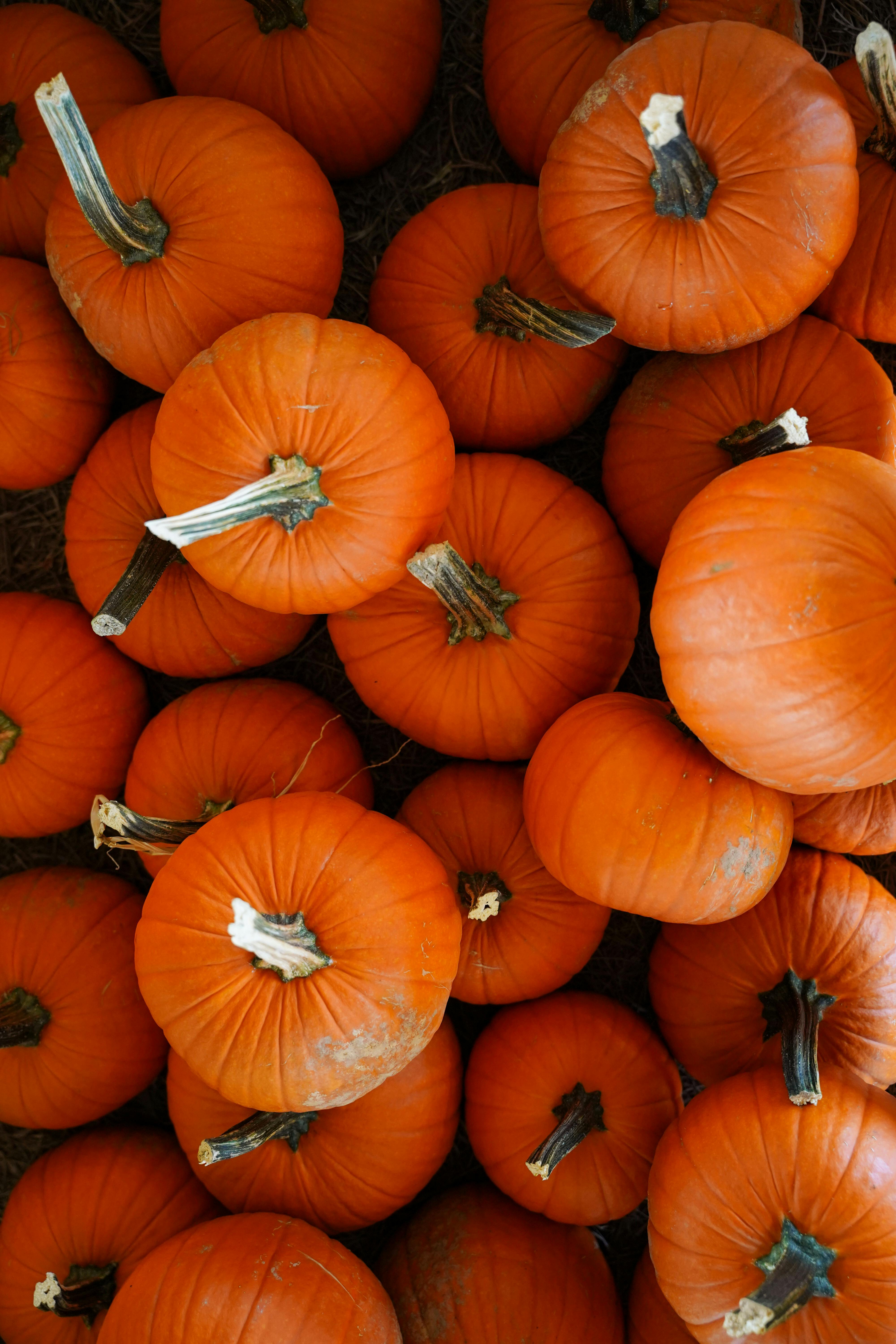 Which fruits are not allowed in keto?