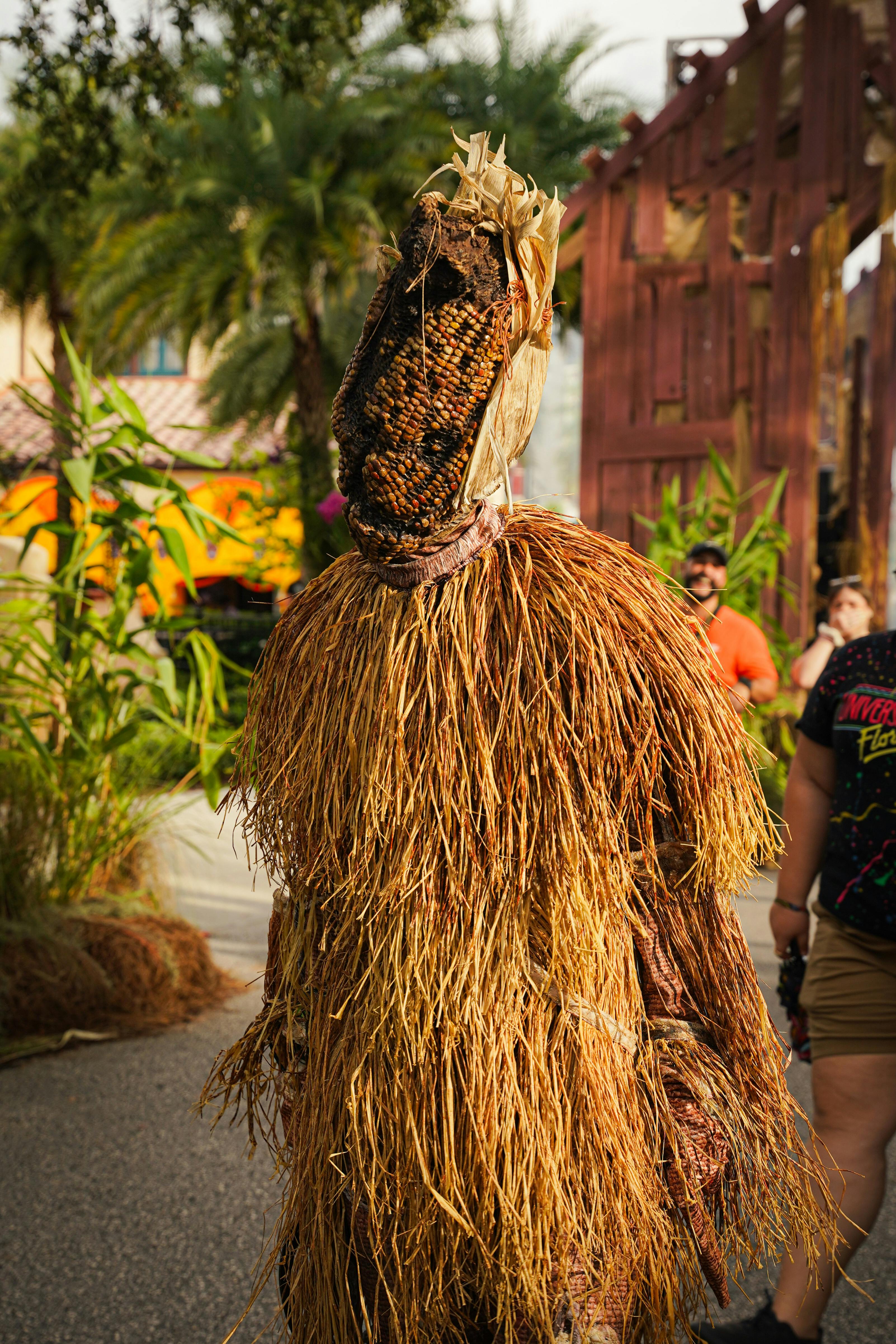 Person in Straw Costume · Free Stock Photo