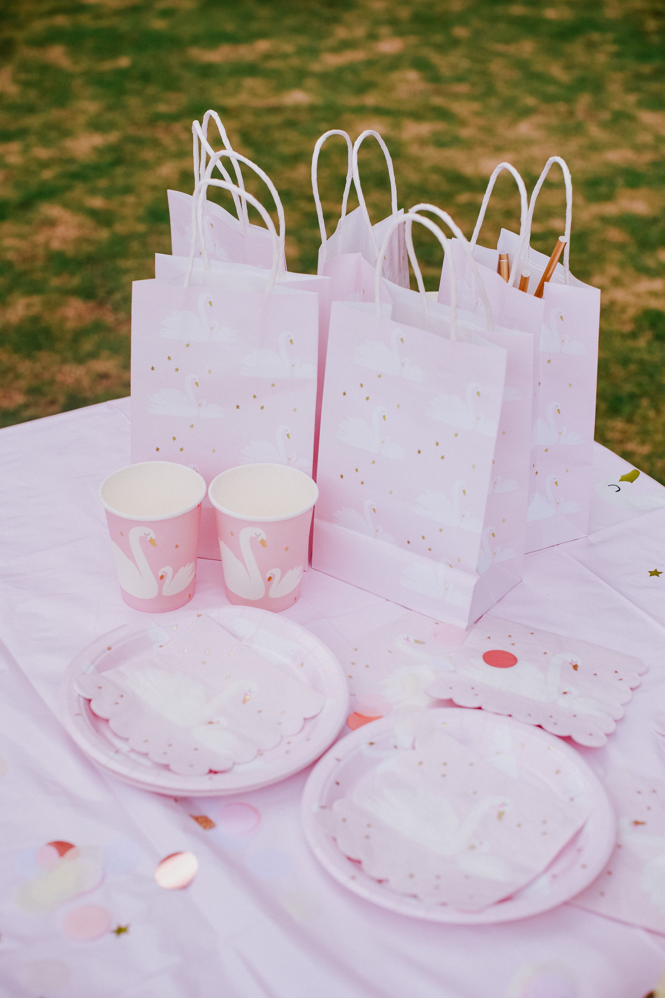 Outdoor party arrangement with coordinated plates, cups, gift bags, and decorative details