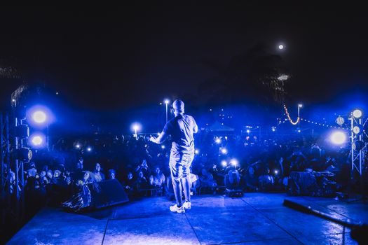 Vibrant live concert scene featuring a performer on stage under night lights with a cheering crowd.