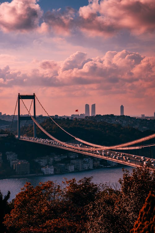 Photo of a Suspension Bridge