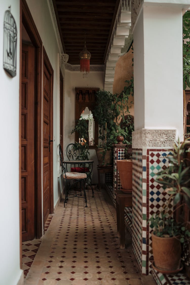 Patio Decorated With Plants