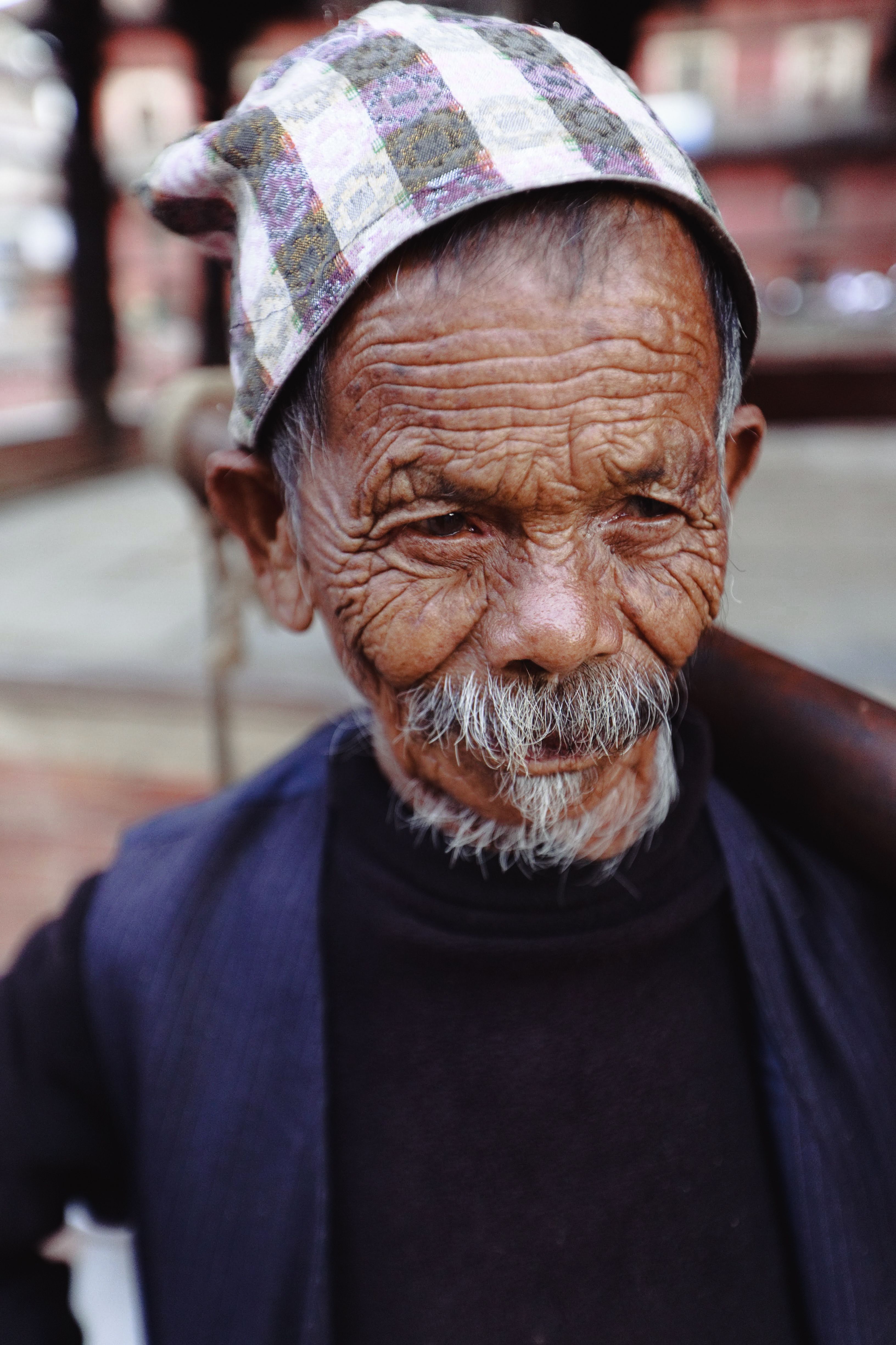 Portrait of an Elderly Man · Free Stock Photo