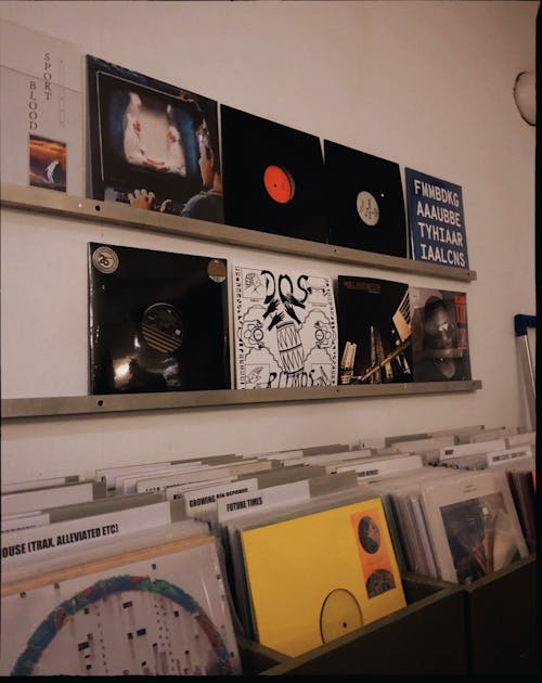 Shelves with Records in a Music Store 