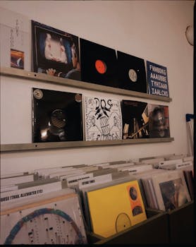 Vertical display of vinyl records in a Cologne, Germany music store.