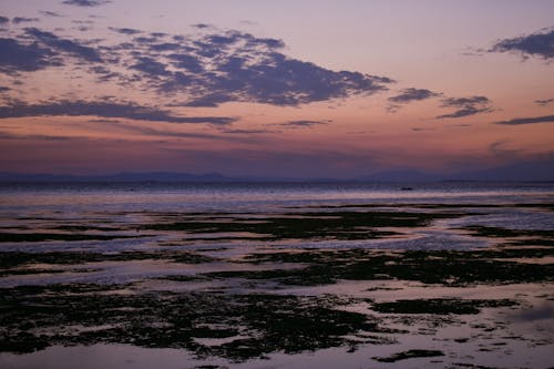 คลังภาพถ่ายฟรี ของ ชายหาด, ตอนเย็น, ตะวันลับฟ้า