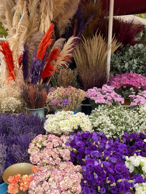 Imagine de stoc gratuită din asortat, diverse, flori