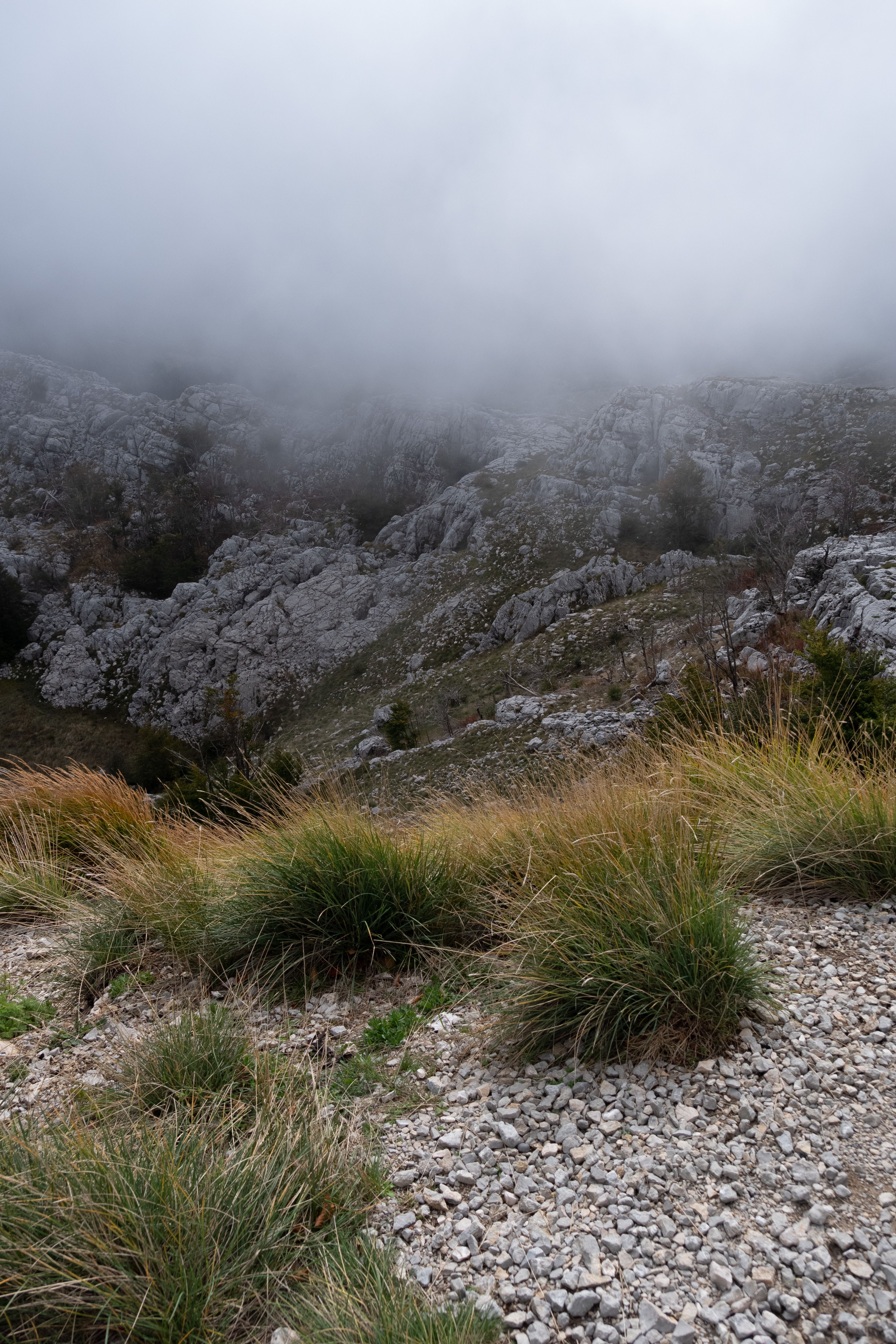 Green Grass on Rocky Mountain during Foggy Day · Free Stock Photo