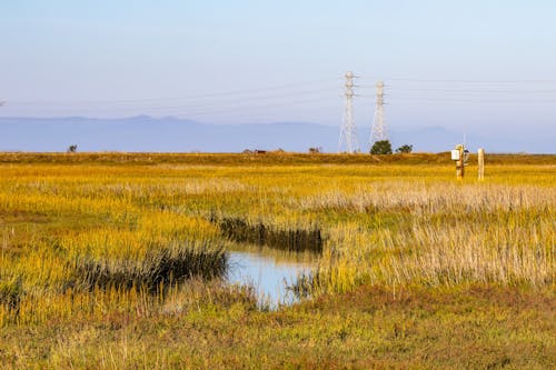 Fotos de stock gratuitas de agua, al aire libre, campo