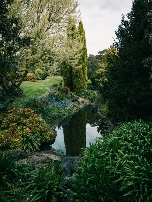 Free Serene garden scene with a reflective pond surrounded by vibrant flora, showcasing natural beauty and tranquility. Stock Photo