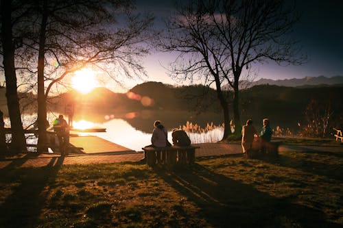 People Sitting on Bench Near Lake and Bare Trees Under Sky during Golden Hour