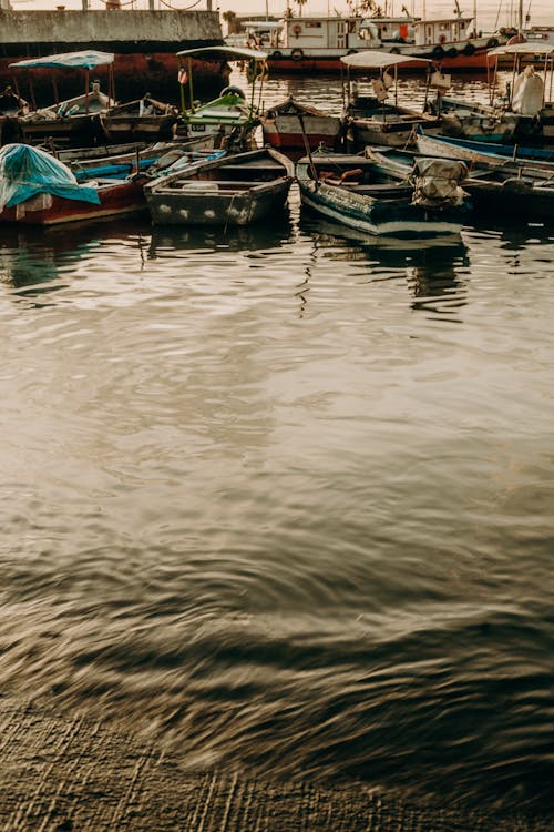 Boats Moored in Harbor