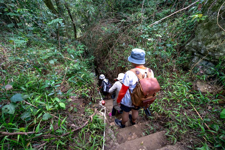 Group Of Tourists In A Dense Tropical Forest 