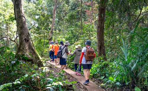 Free A group of adults hiking along a scenic forest trail, surrounded by lush greenery and tall trees. Stock Photo