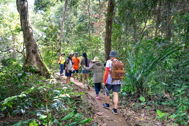 Group Of People Walking On A Trail In A Tropical Forest 