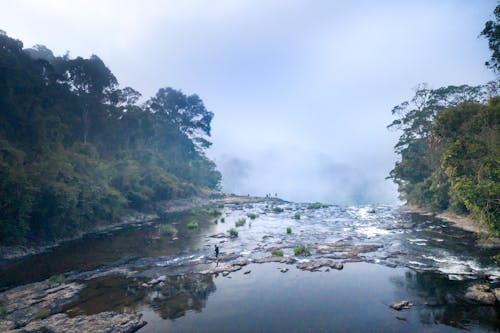 多雲的, 景觀, 森林 的 免费素材图片