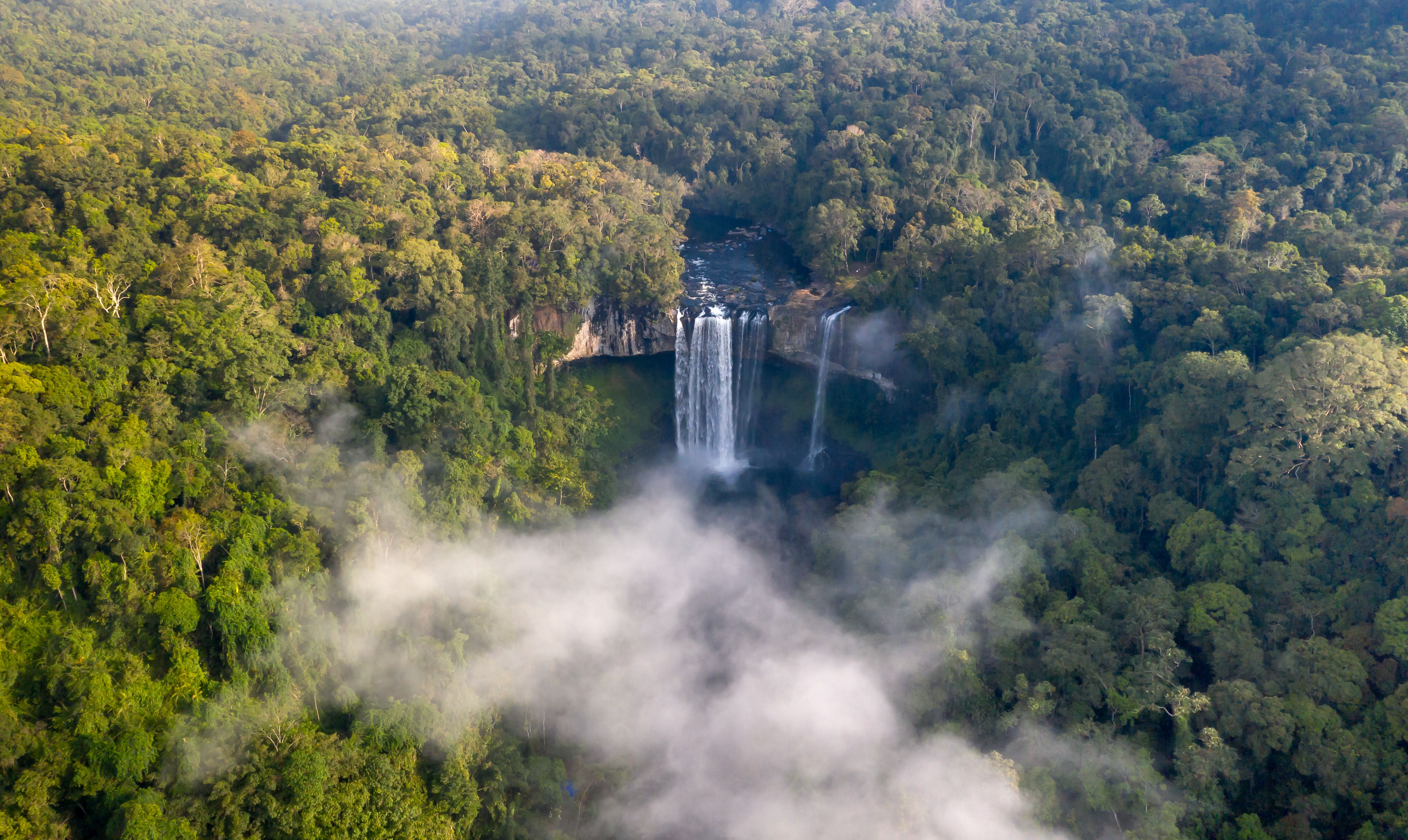 Rainforest Landscape with Waterfall and River Cascade · Free Stock Photo