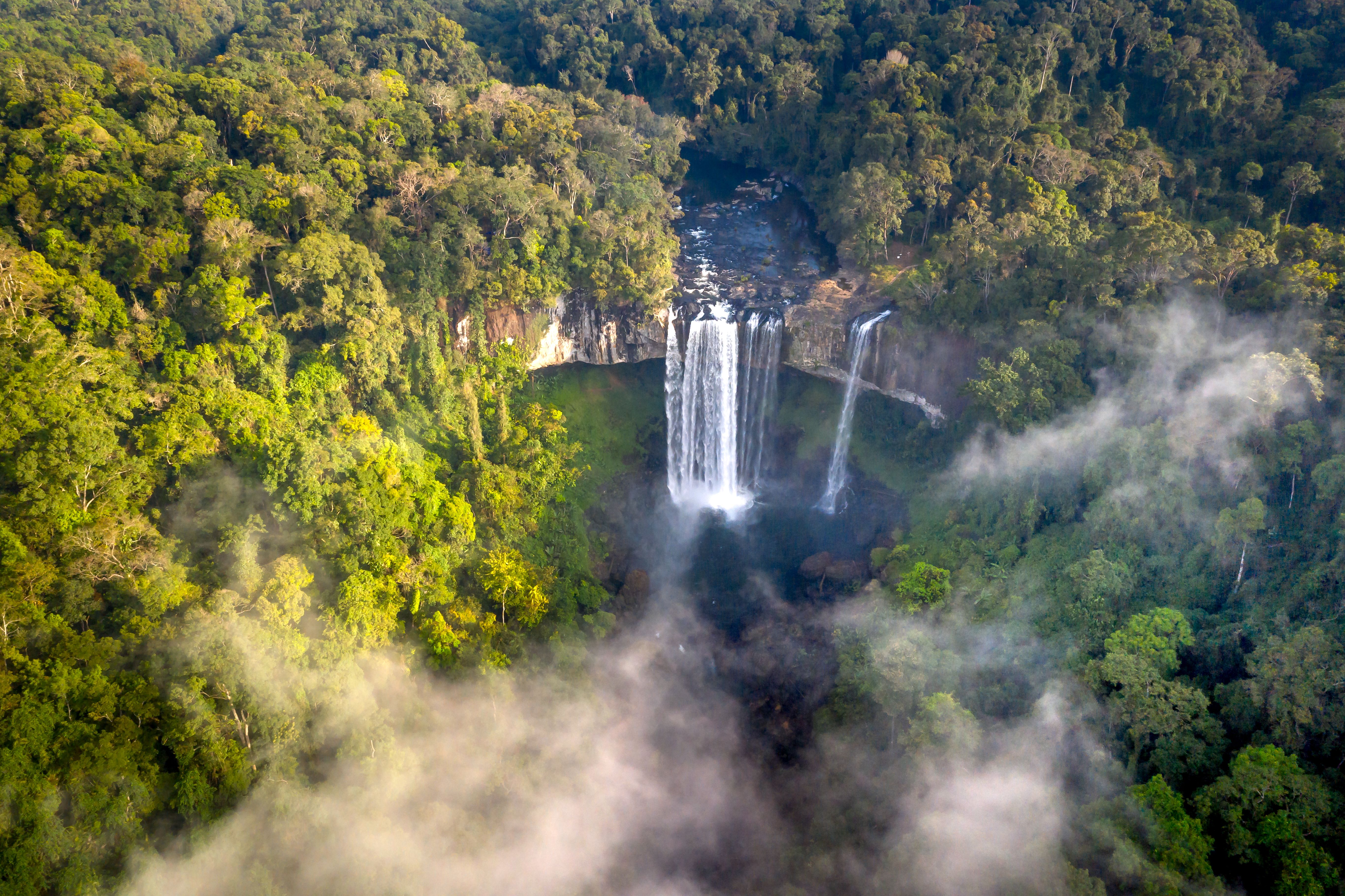 The wide curtain of Athirappilly Falls dropping into the Chalakudy river below rainforest