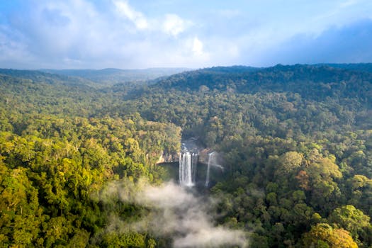 Stunning aerial view of waterfalls cascading through a vibrant, dense forest with a clear blue sky.