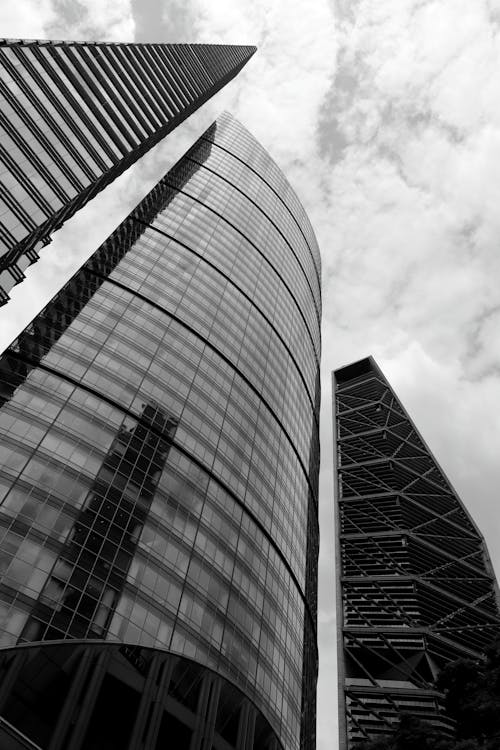 High Rise City Buildings in Grayscale Photography