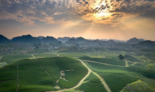 Foto d'estoc gratuïta de agricultura, bellesa, camp