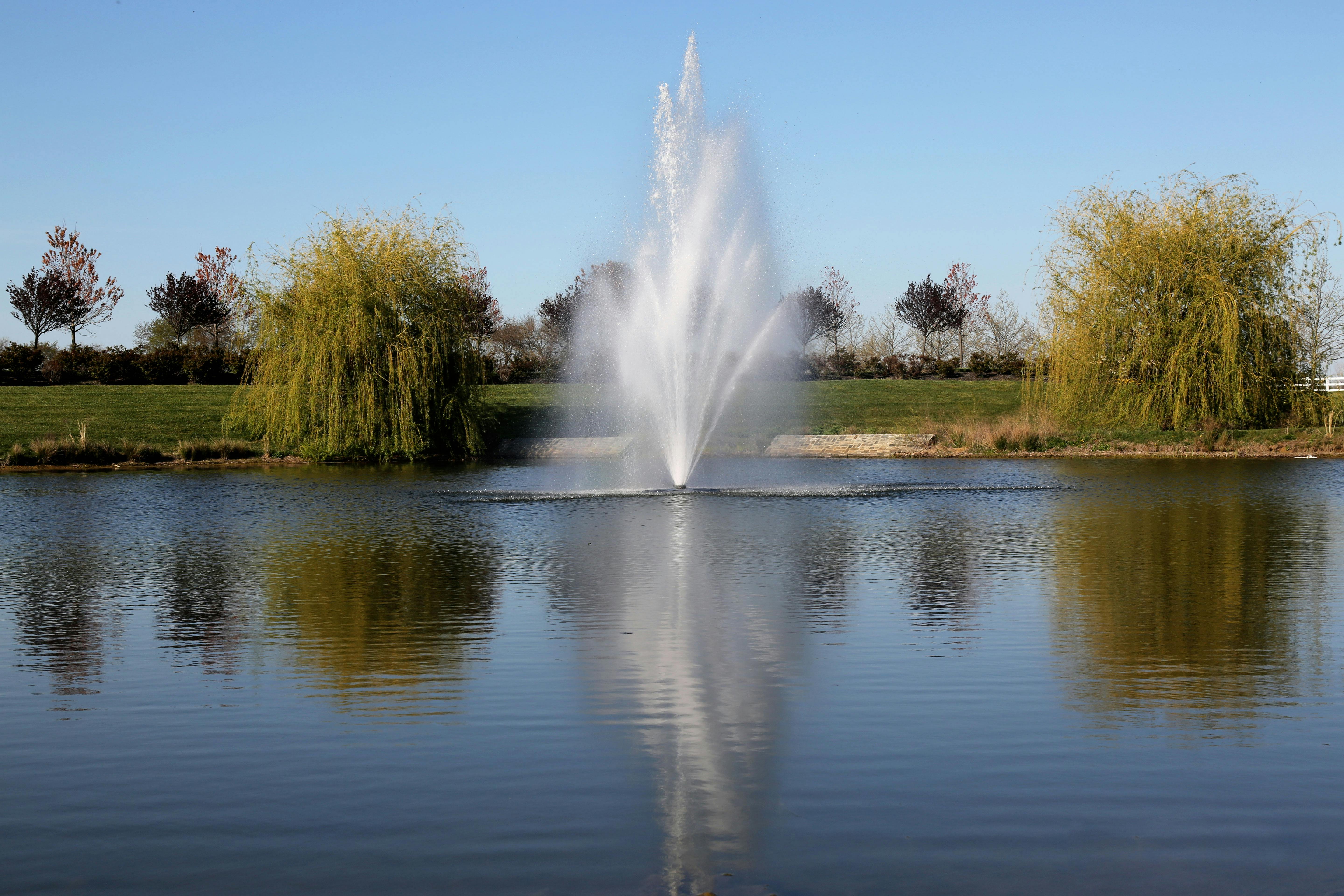 Reflection of Trees on Ripple Water · Free Stock Photo
