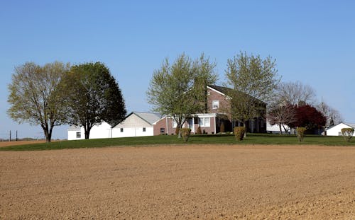 Farm House in Rural Field