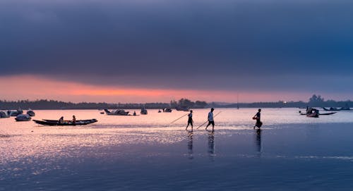 Безкоштовне стокове фото на тему «Захід сонця, море, озеро» стокове фото