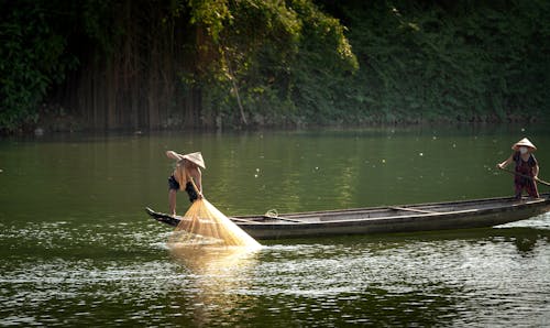 Foto profissional grátis de água, barco, canoa