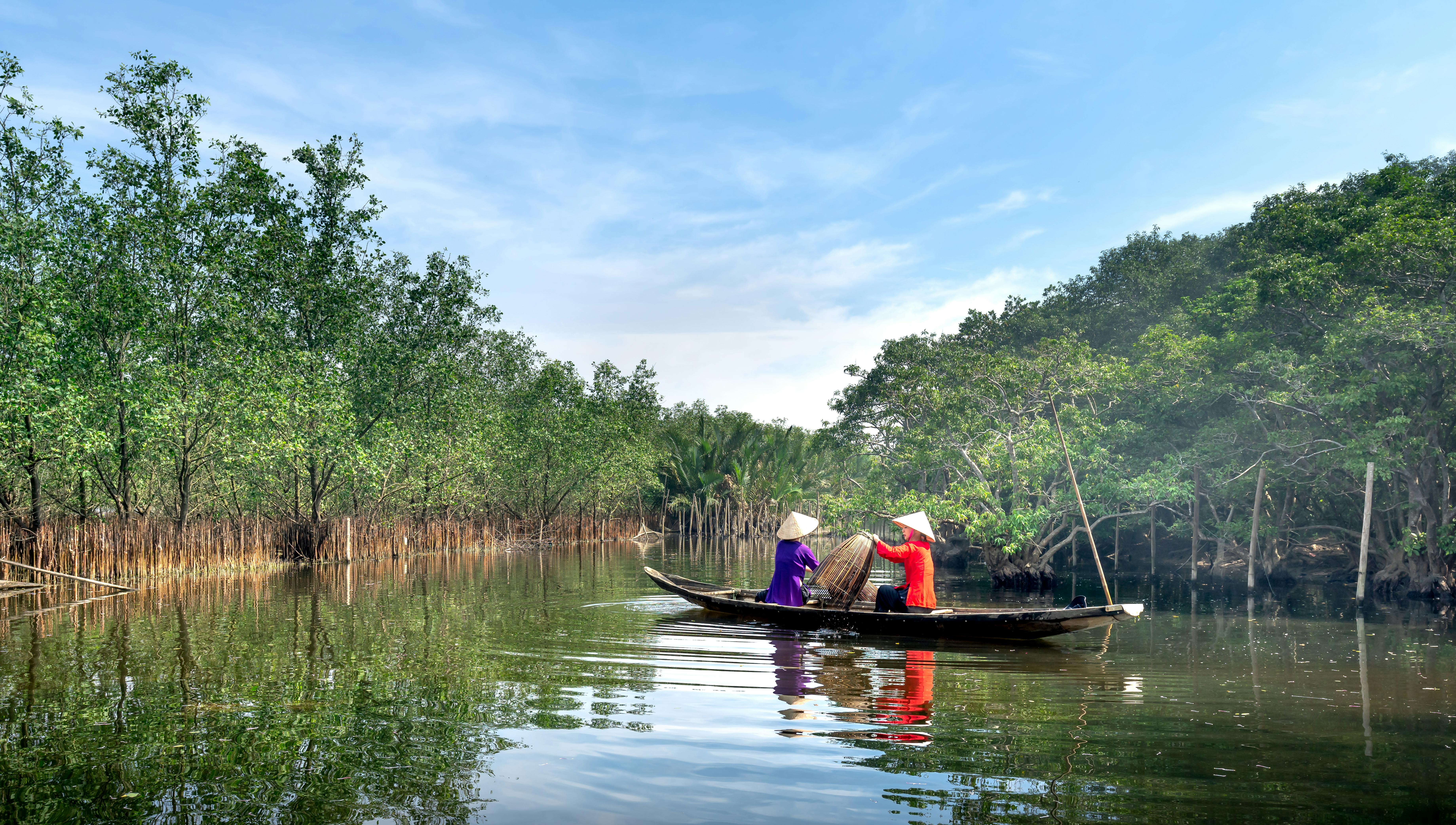 Two women in conical hats paddle through a lush river forest, showcasing traditional boating.