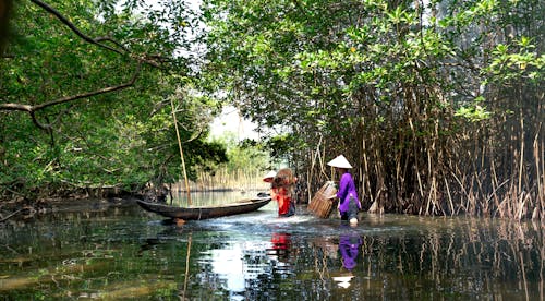 Women Wearing Conical Hats Fishing Using Bamboo Traps