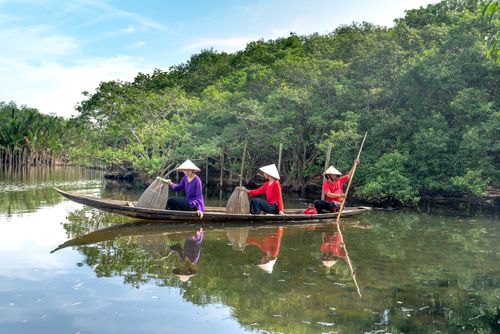 Free Asian fishermen navigate a river in a wooden boat, surrounded by lush mangroves. Stock Photo