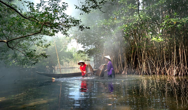 Women Catching Fish In A River