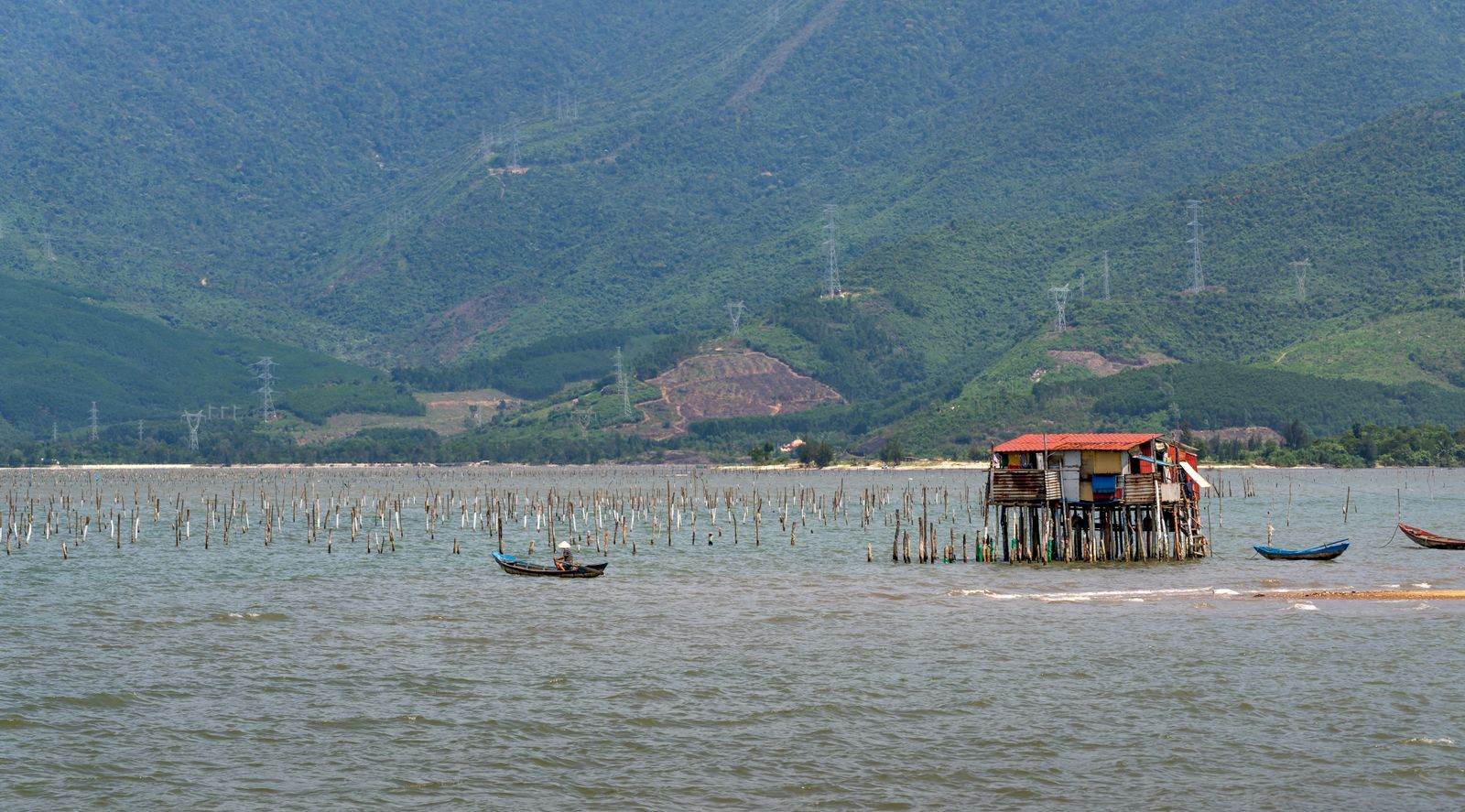Jade Lagoon