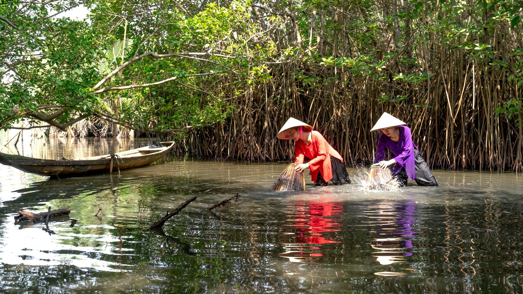 Two women in conical hats fish in a dense mangrove forest using traditional traps.