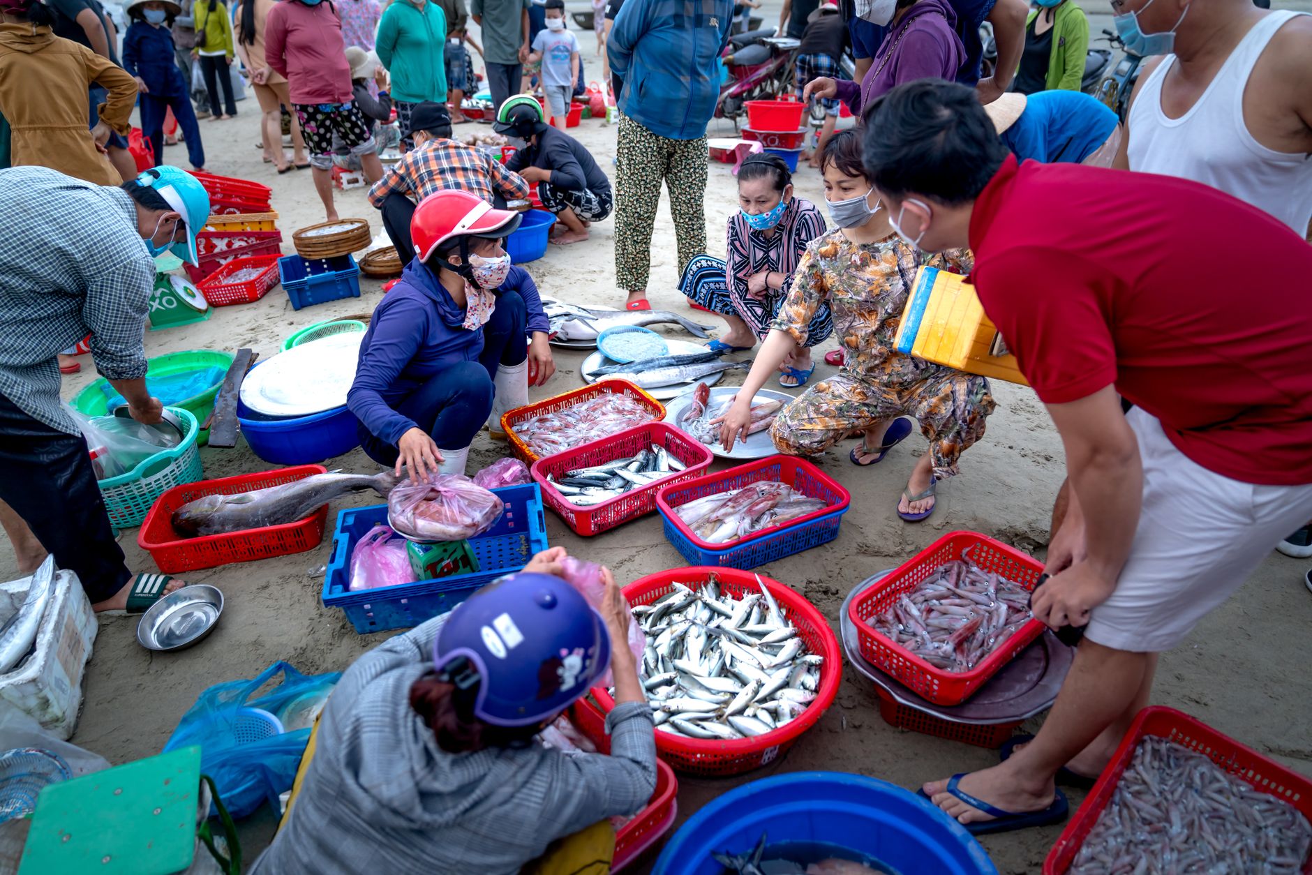 Consumo de peixe de cativeiro cresce no Brasil