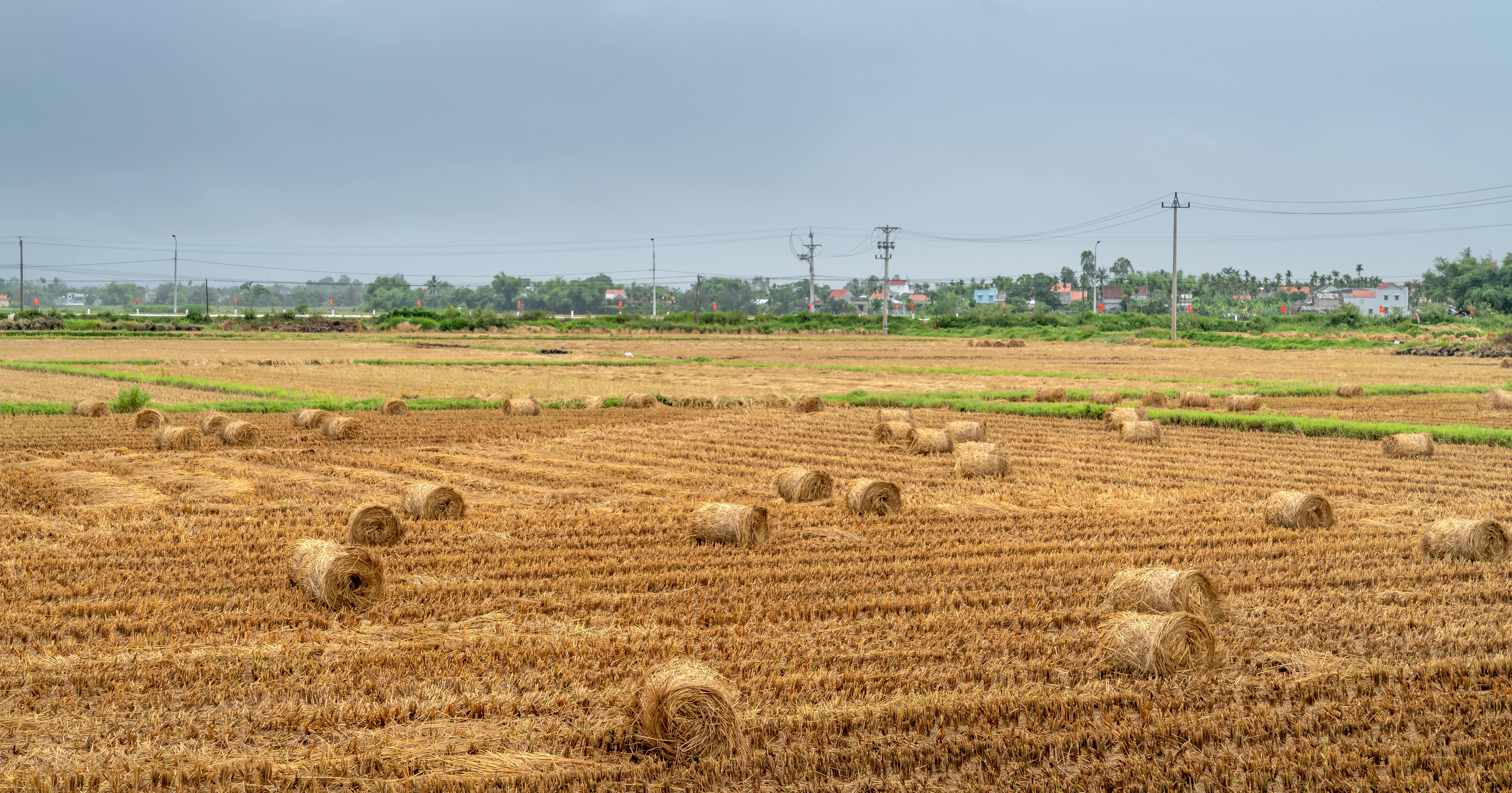 Expansive agricultural field with scattered hay bales under a cloudy sky.